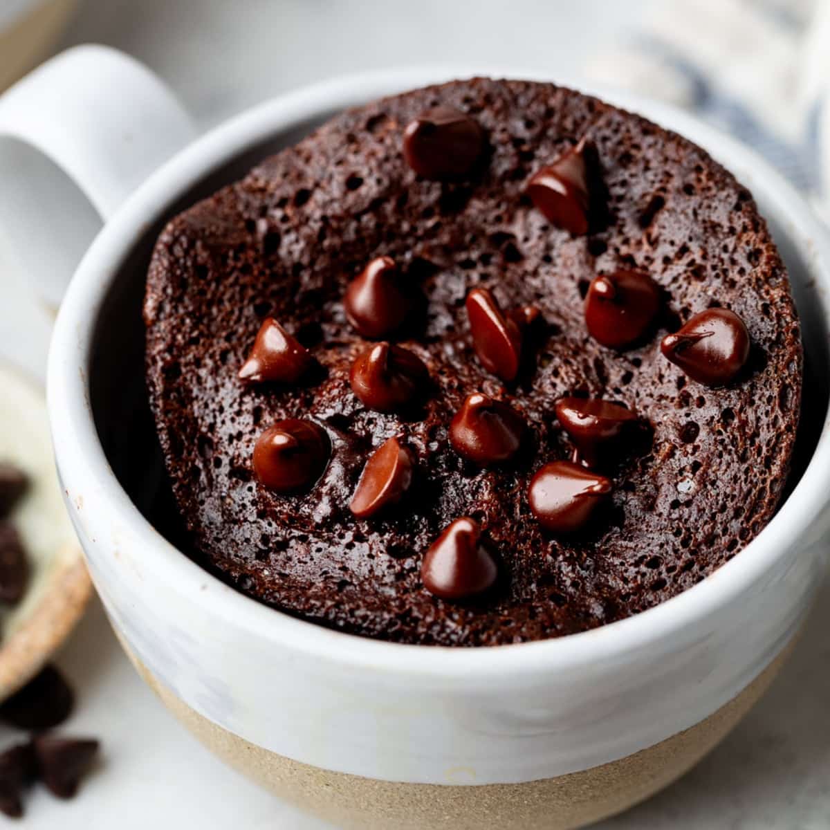 Chocolate Protein Mug Cake